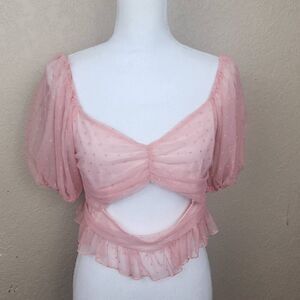 Evolutionary Mauve Sheer Mesh Puff Sleeve Crop Top XL NWT (5049)
